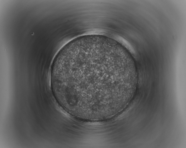 X0000111151276200907141334