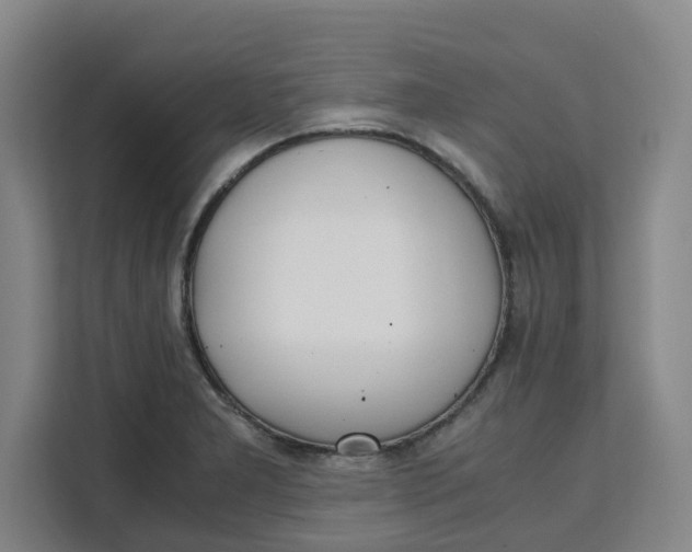 X0000111151277200907141334