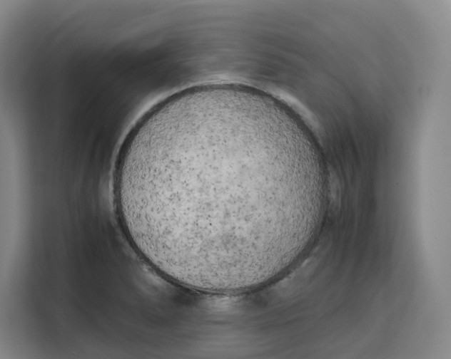 X0000111151278200907141334