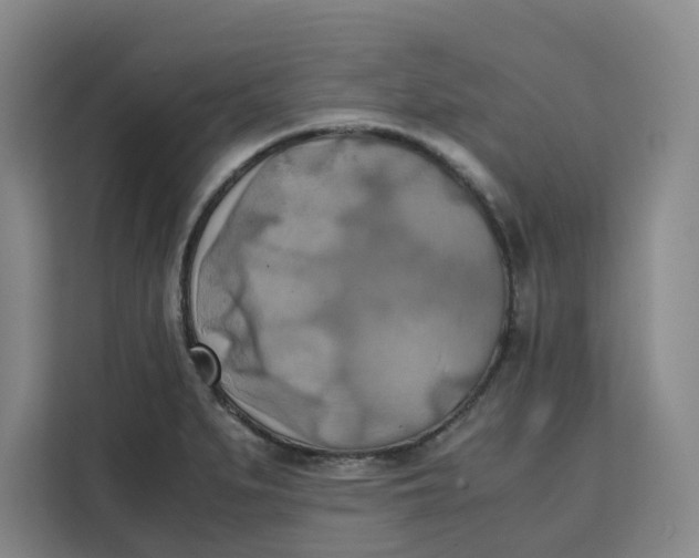 X0000111151279200907141334