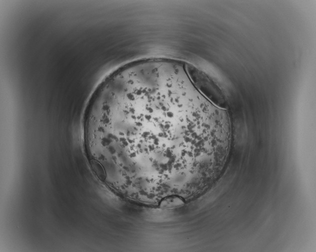 X0000111151280200907141334
