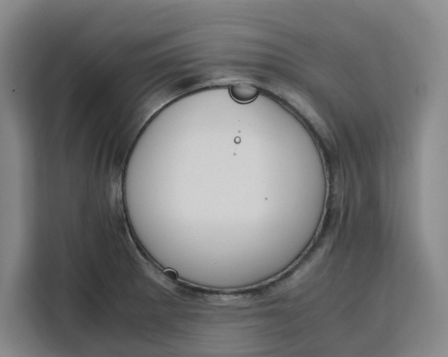 X0000111151281200907141334