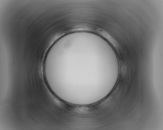 X0000111151282200907141334