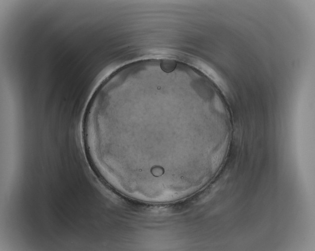 X0000111151283200907141334