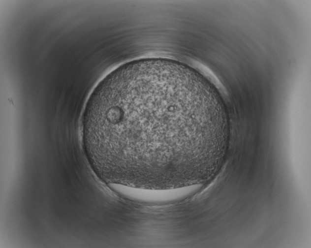X0000111151284200907141334