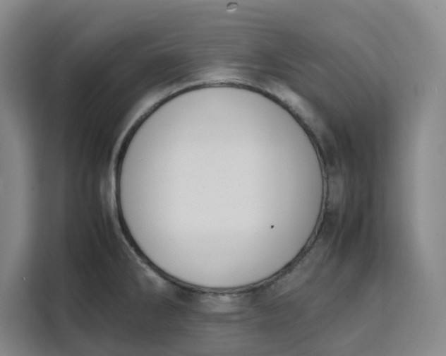 X0000111151286200907141334