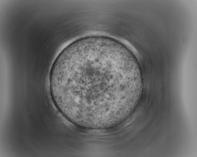 X0000111151287200907141334