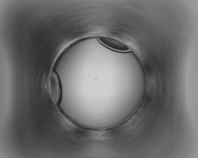 X0000111151288200907141334