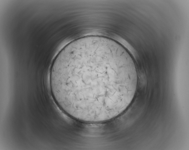 X0000111151290200907141334