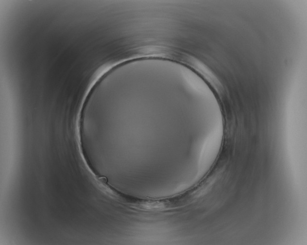 X0000111151291200907141334