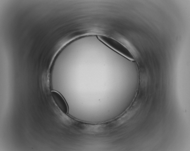 X0000111151292200907141334