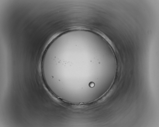 X0000111151293200907141334