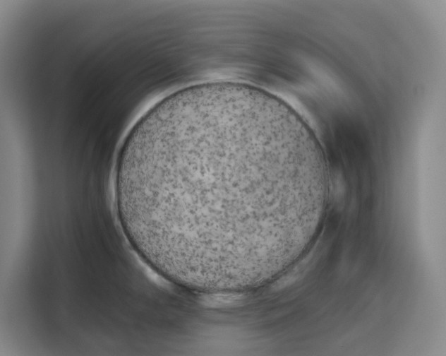 X0000111151294200907141334