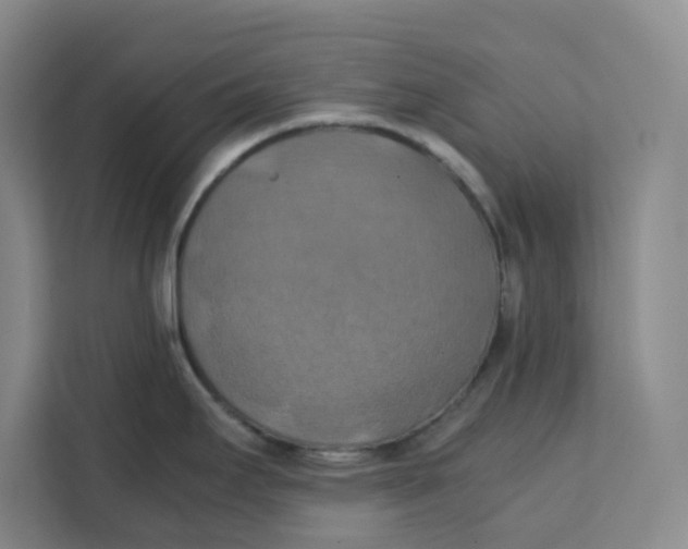 X0000111151295200907141334