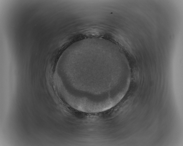 X0000111151297200907141333