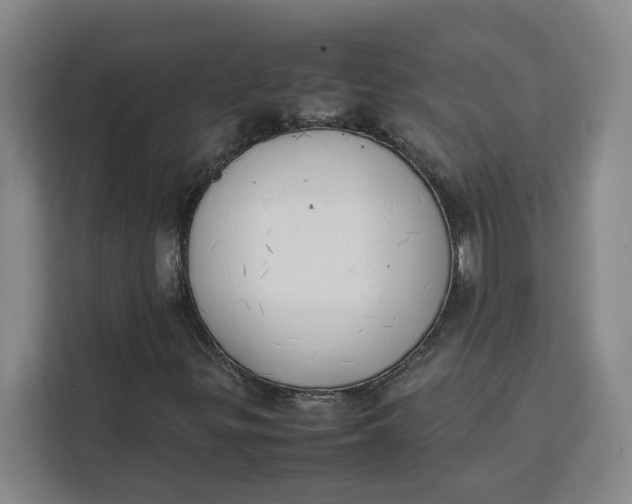 X0000111151299200907141333