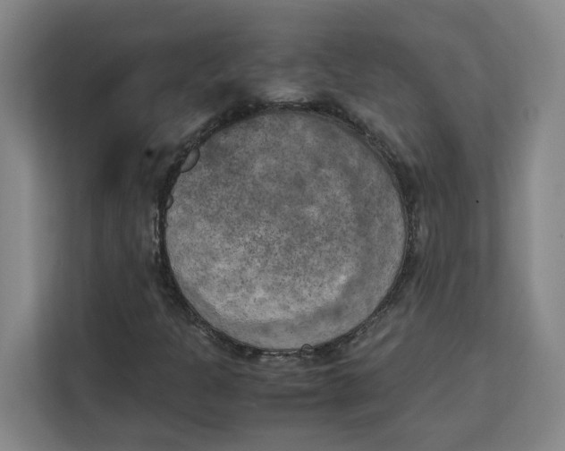 X0000111151301200907141333