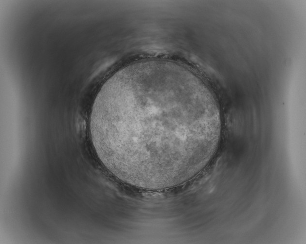 X0000111151302200907141333
