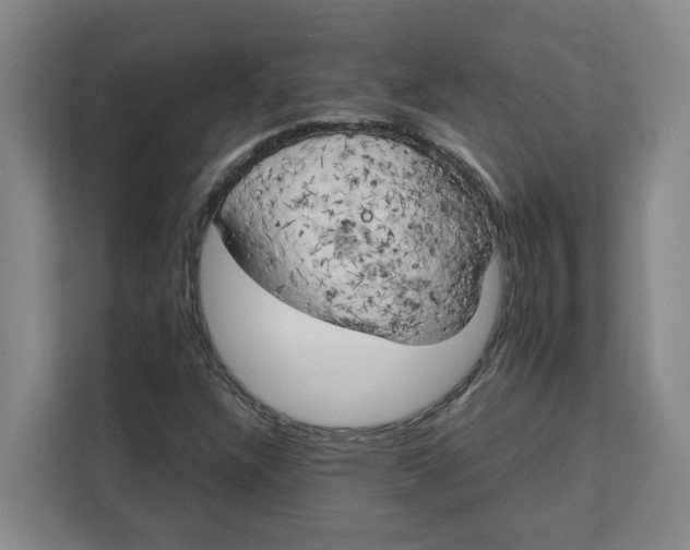 X0000111151304200907141333