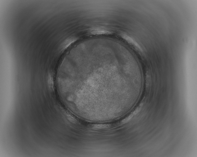 X0000111151305200907141333