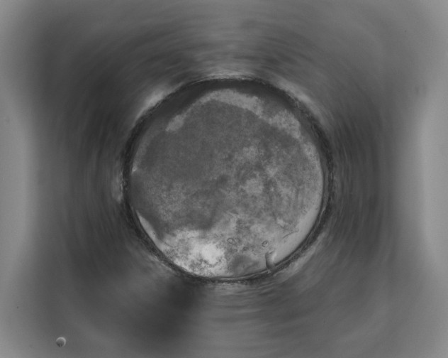 X0000111151306200907141333