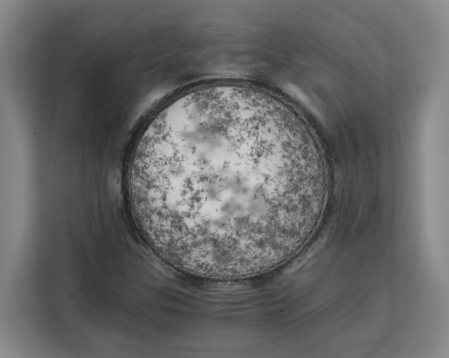 X0000111151307200907141333