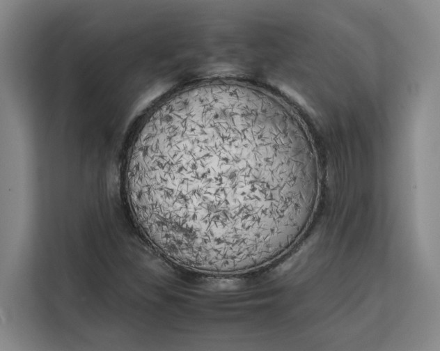 X0000111151309200907141333