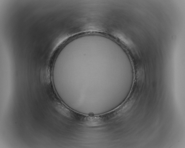 X0000111151310200907141333