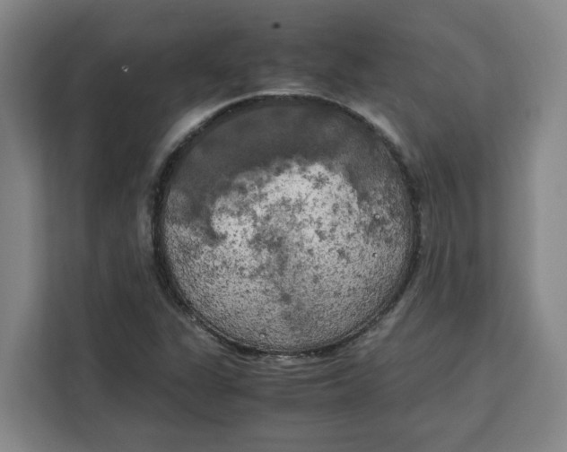 X0000111151311200907141333