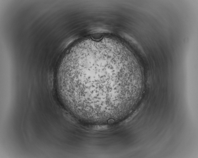 X0000111151313200907141333