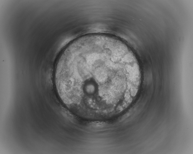 X0000111151314200907141333