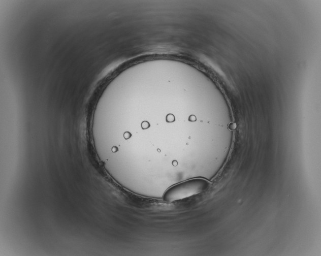 X0000111151315200907141333