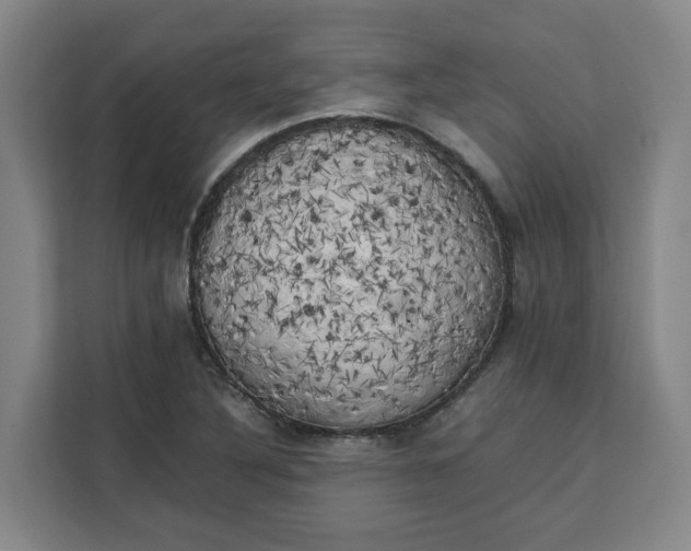 X0000111151316200907141333