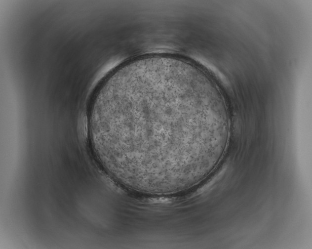 X0000111151317200907141333