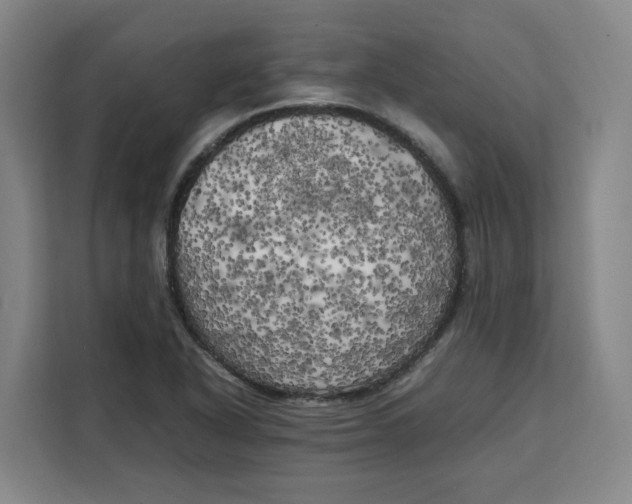 X0000111151318200907141333