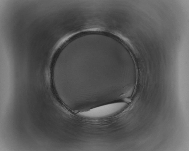 X0000111151319200907141333