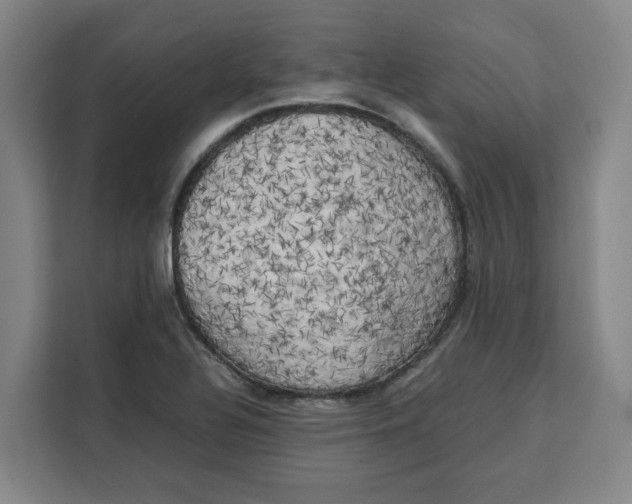 X0000111151320200907141333