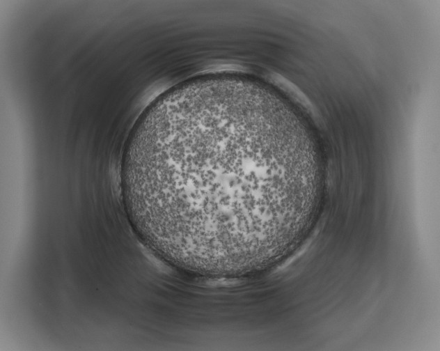 X0000111151321200907141333