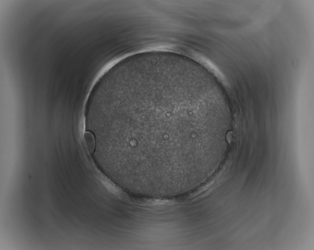 X0000111151324200907141333