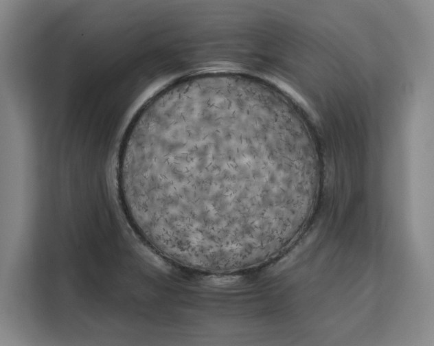 X0000111151325200907141333