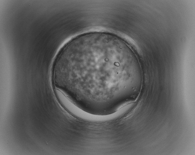 X0000111151326200907141333