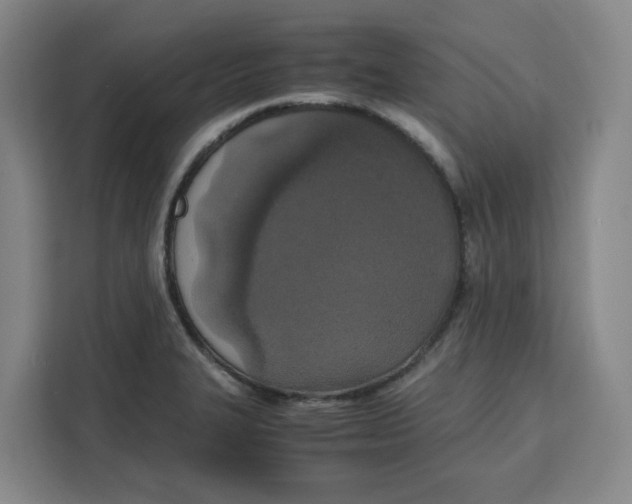 X0000111151327200907141334