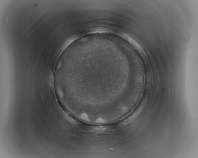 X0000111151329200907141334