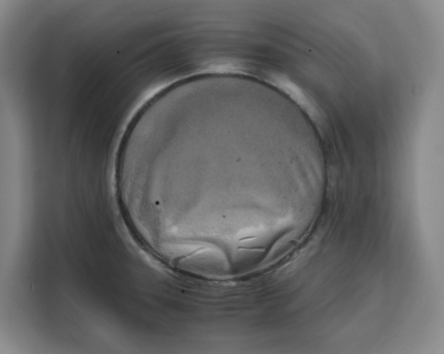 X0000111151331200907141334