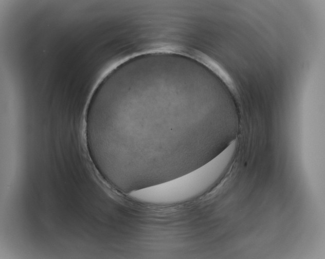 X0000111151332200907141334