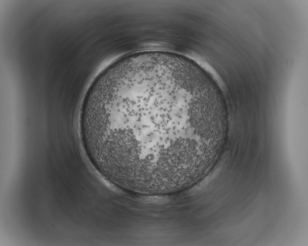 X0000111151333200907141334