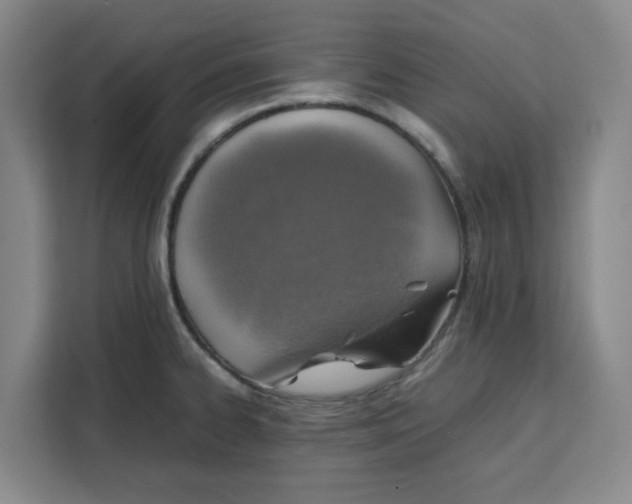 X0000111151334200907141334