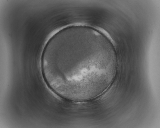 X0000111151335200907141334
