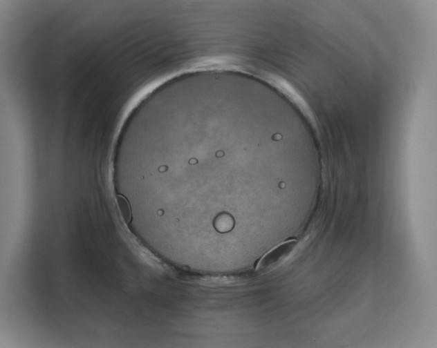 X0000111151336200907141334