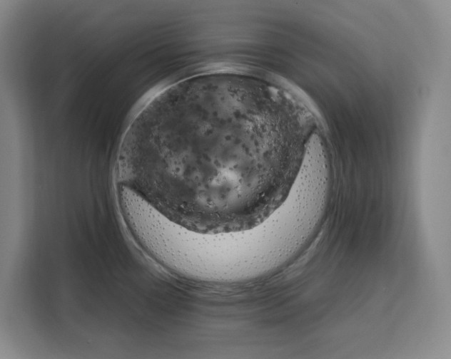 X0000111151338200907141334
